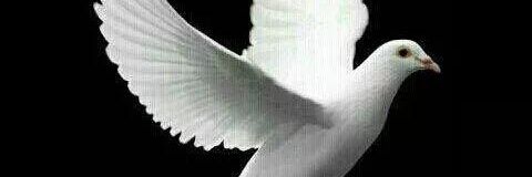 martin_okoth1's profile banner image
