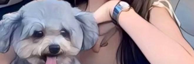 BFty2P15's profile banner image