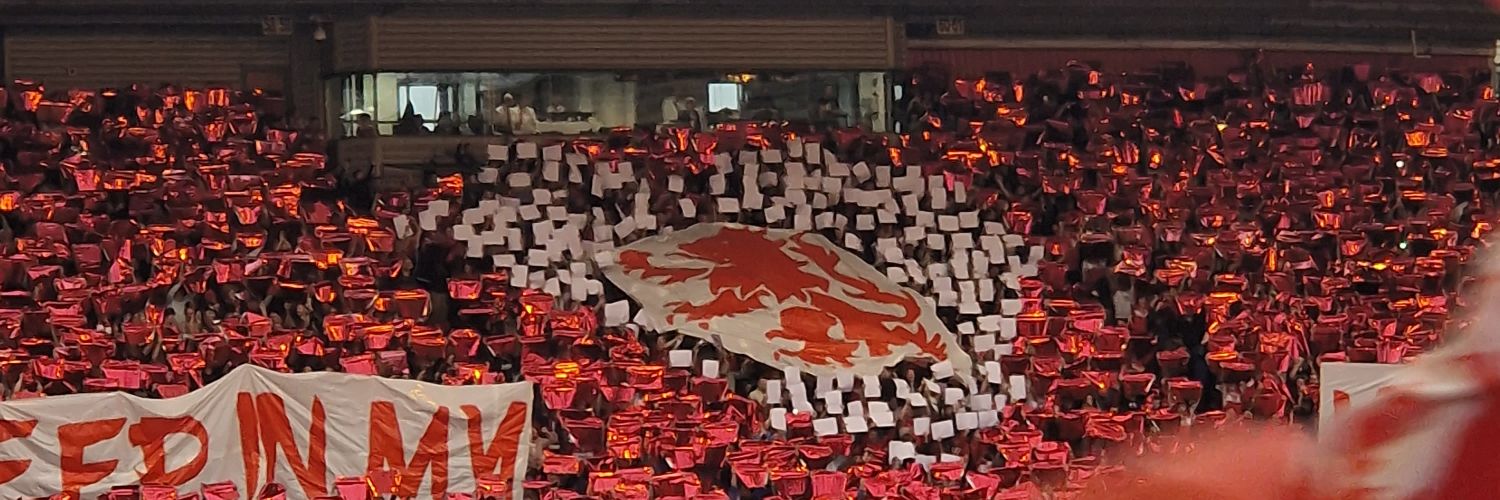 stecuz1972's profile banner image