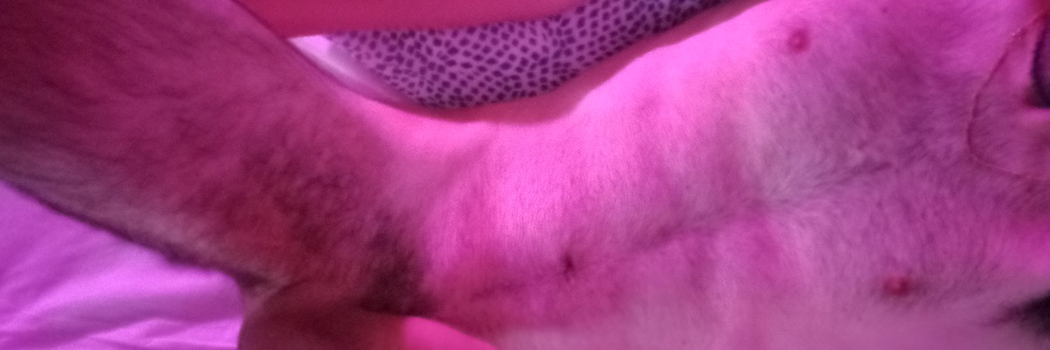 ItalianSlave199's profile banner image