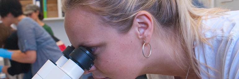 AES Laboratories (@AES_Labs) / Posts / X