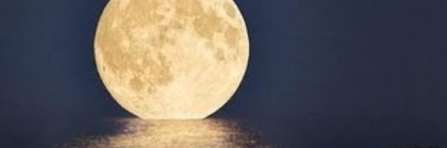 happy_attwill's profile banner image
