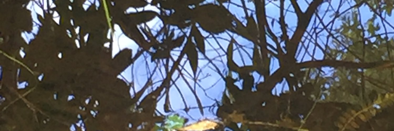 GalacticoForeve's profile banner image