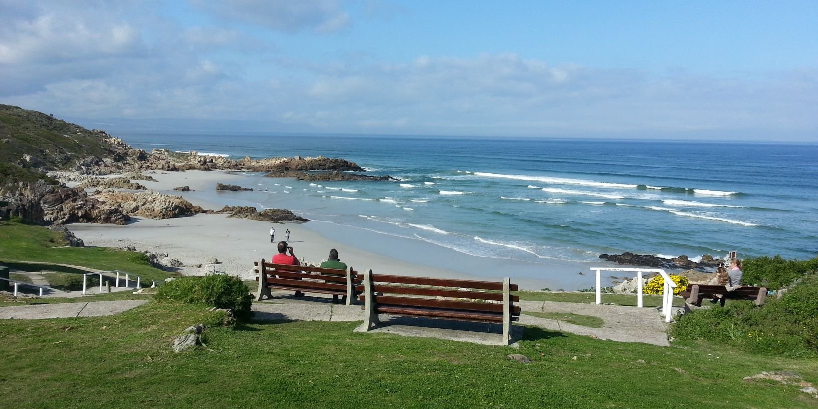 Jacques Haynes banner