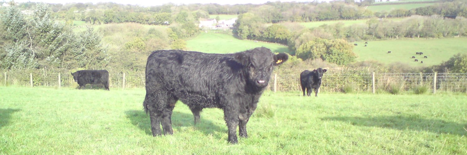 Jeremy Tancock banner