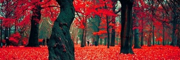DanyLOdL Profile Banner