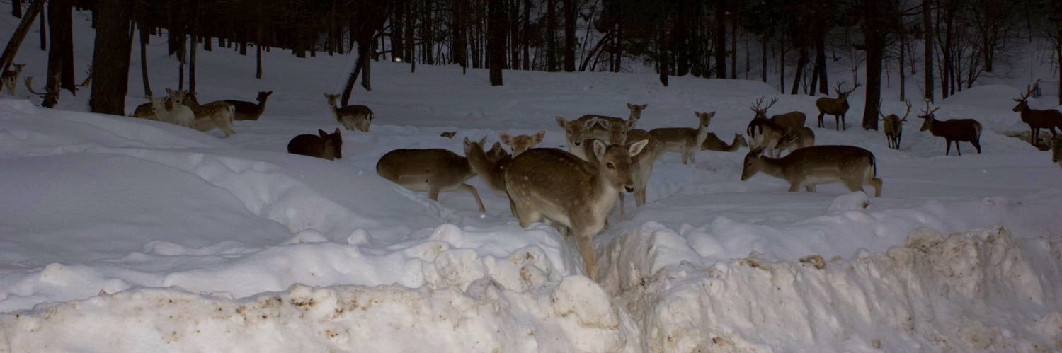 r͜͡a͜͡l͜͡e͜͡i͜͡g͜͡h͜͡ d͜͡o͜͡t͜͡ c͜͡o͜͡m͜͡ banner