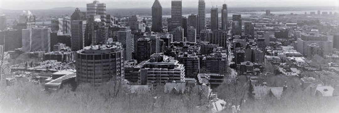 PeterDiekmeyer's profile banner image