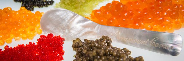 ParamountCaviar Profile Banner