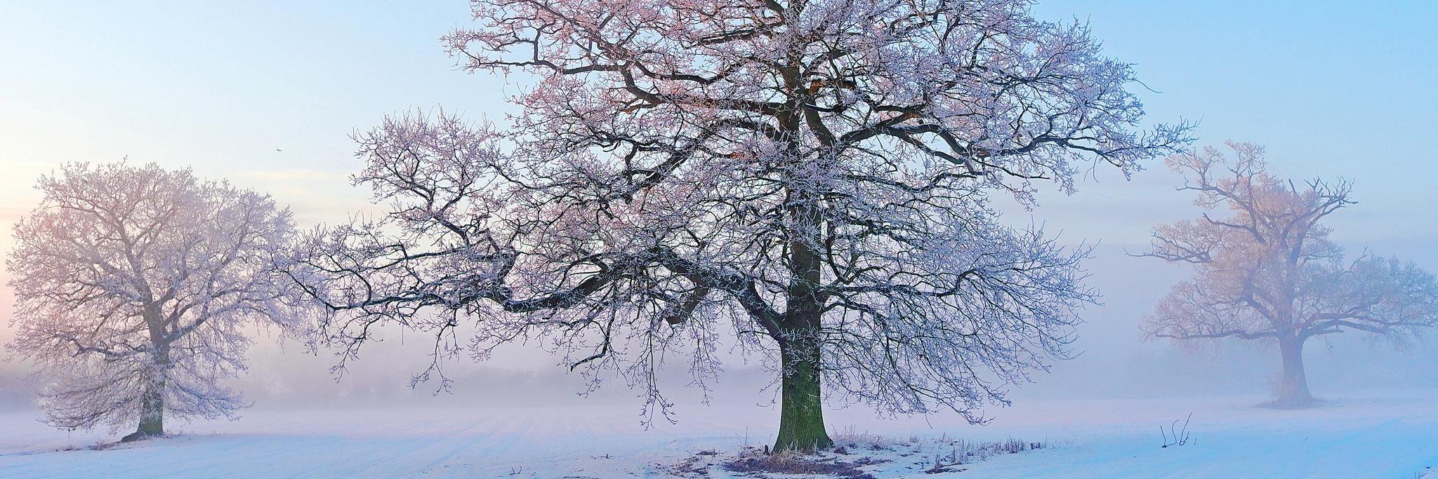 AustinWinter17's profile banner image