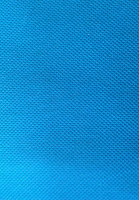 PEPITOGRILLO66 banner