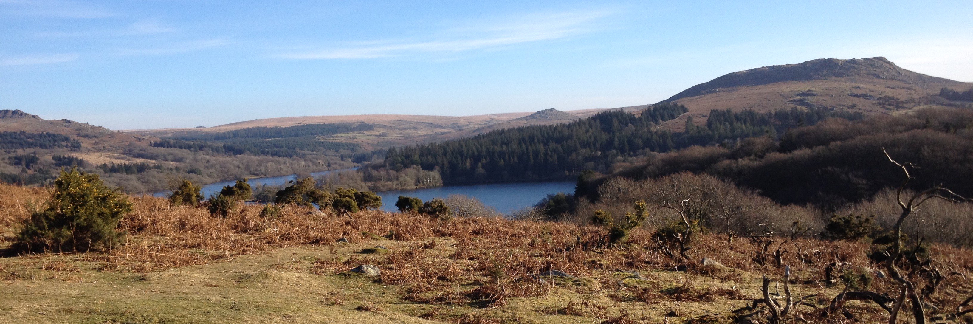 Ellie Edlmann banner