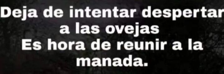 GIOVAS banner