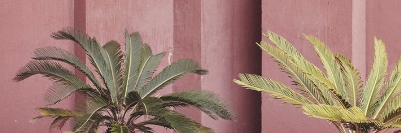 774Seherd's profile banner image