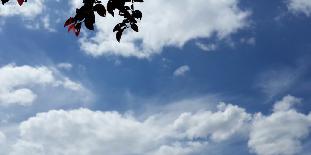 walder_ama's profile banner image