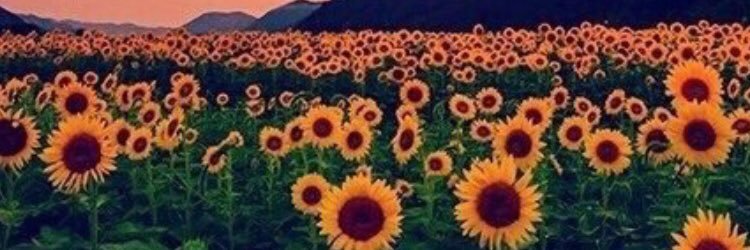 Kenzz_Boo's profile banner image