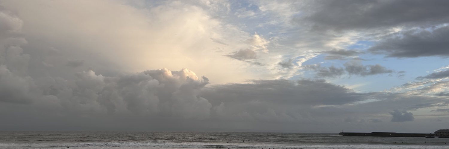 Rhiannon Goodall banner