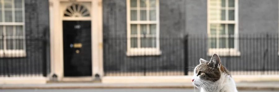 colinrhardy's profile banner image