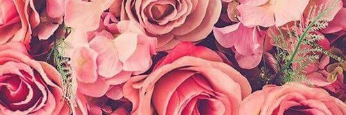 charissaccv's profile banner image