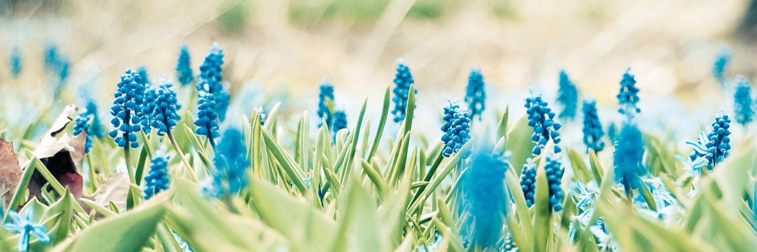 Orhun🇹🇷 banner