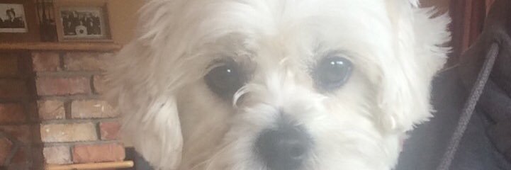 NiamhMcCabex's profile banner image