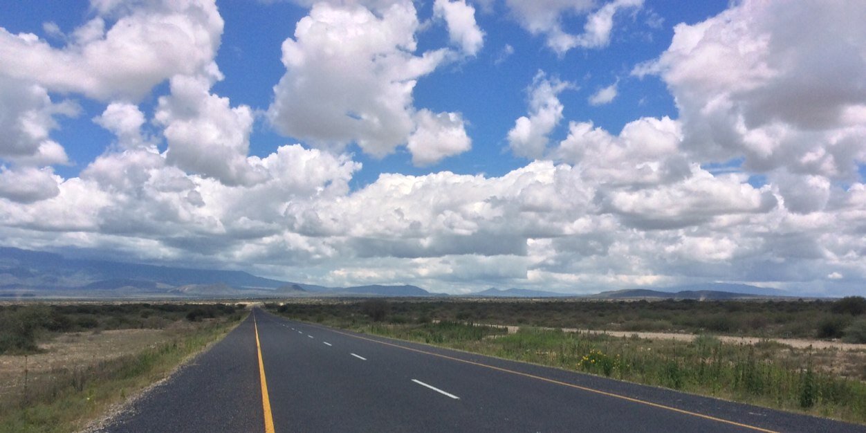 Savannah Fund banner