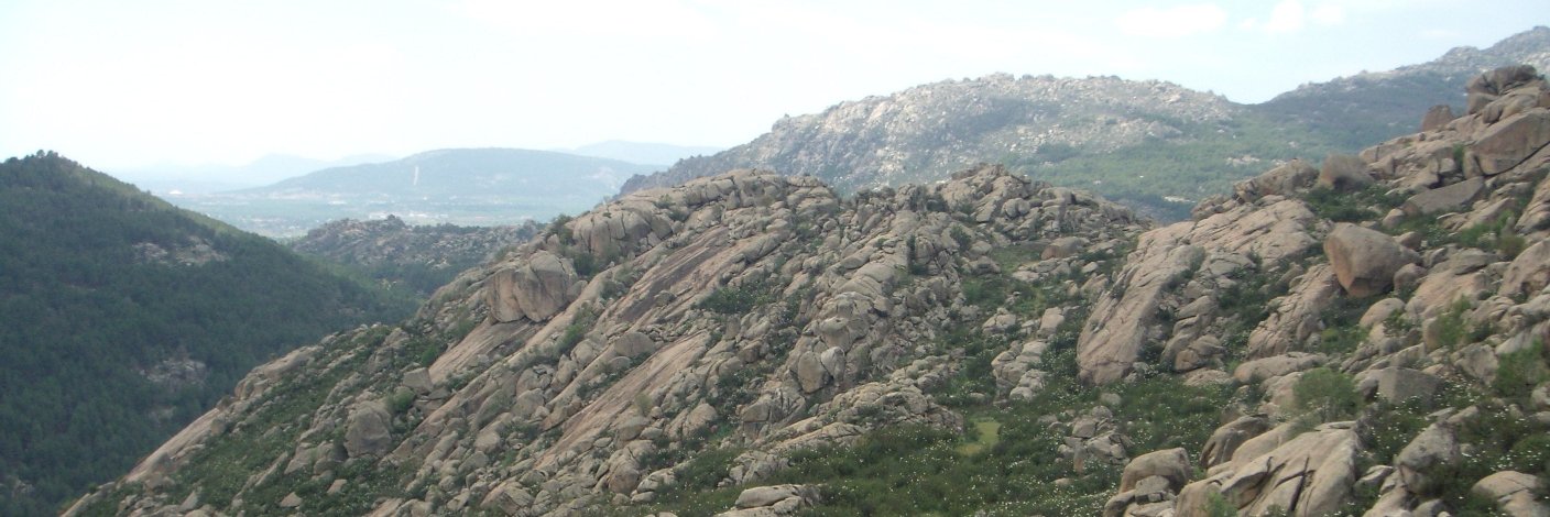 GoetzBorchert's profile banner image