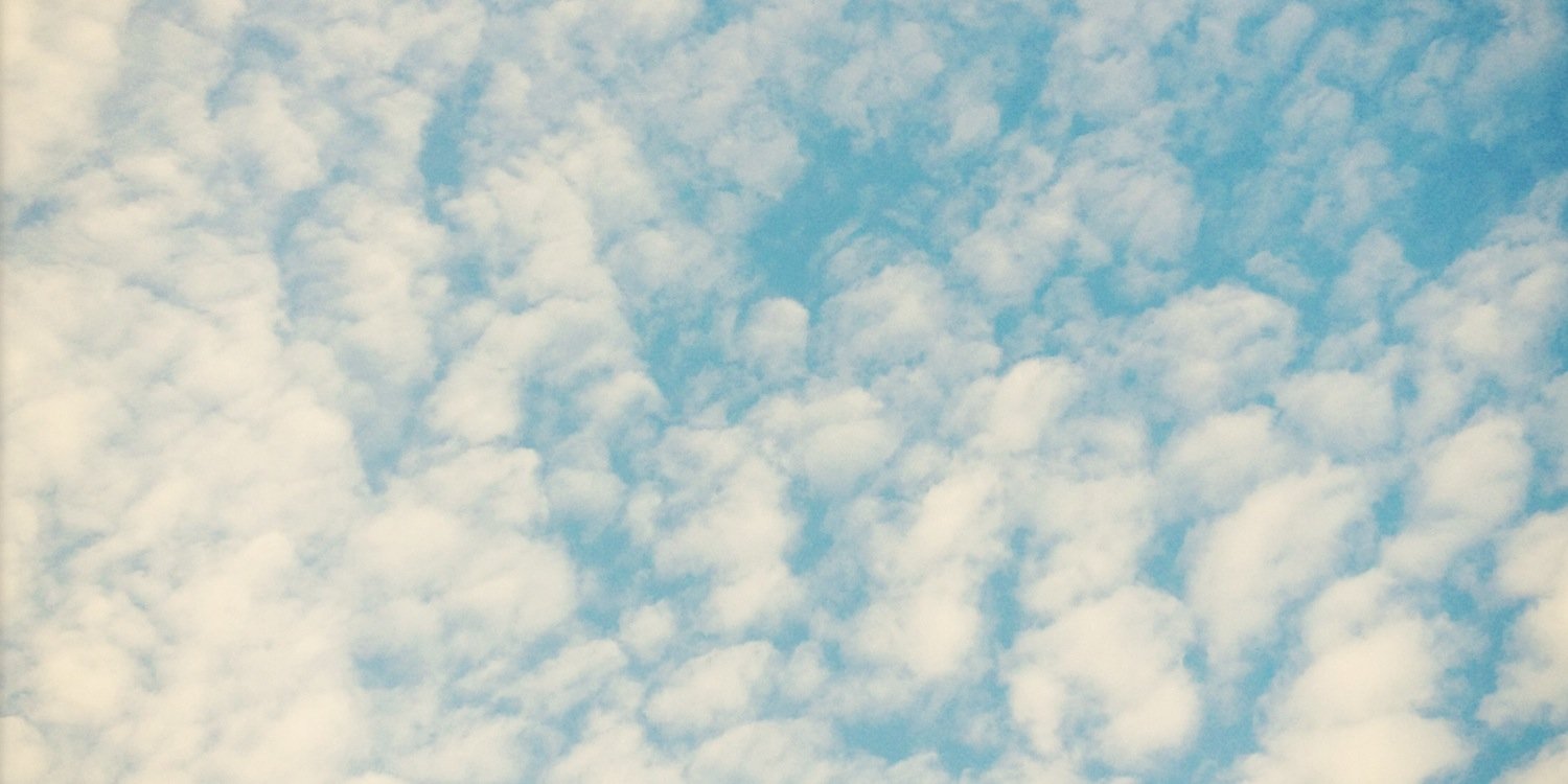 CarootsONE's profile banner image