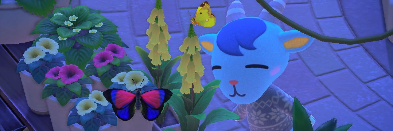 Saltail's profile banner image
