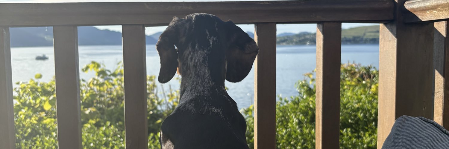 jengray92's profile banner image