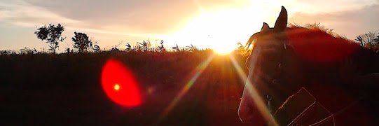 audreyjis's profile banner image