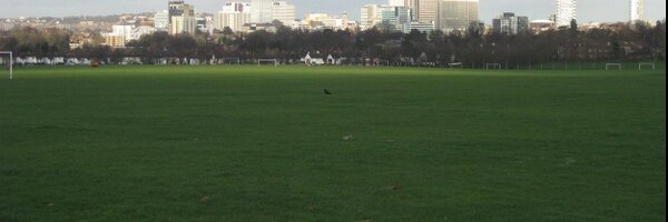 cheapleaflets Profile Banner