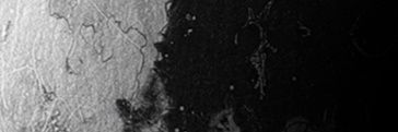 GusssdM's profile banner image