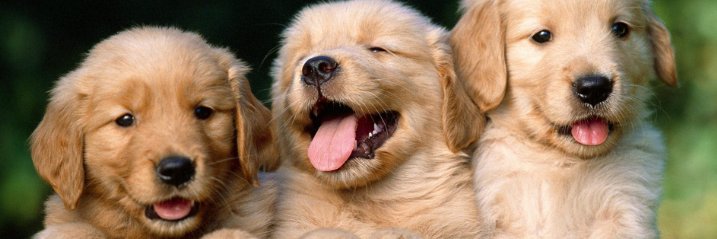 ckeitlen's profile banner image