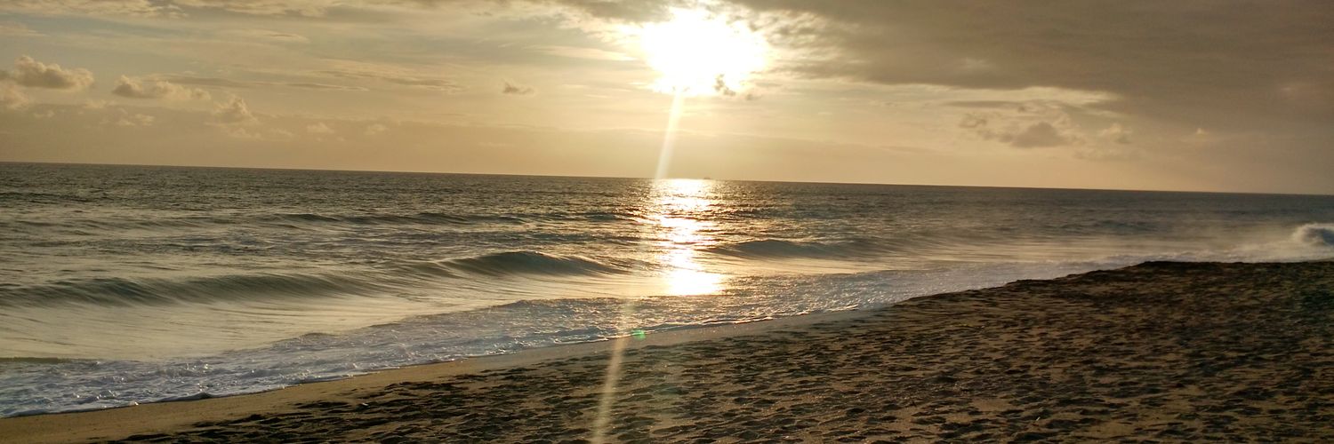 TraceyGandy's profile banner image
