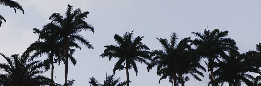 pablozupra's profile banner image