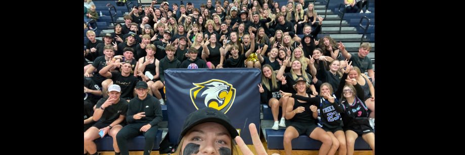 Wildcat Superfans banner