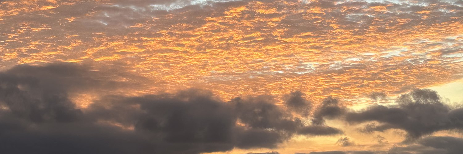 alexgio1401's profile banner image