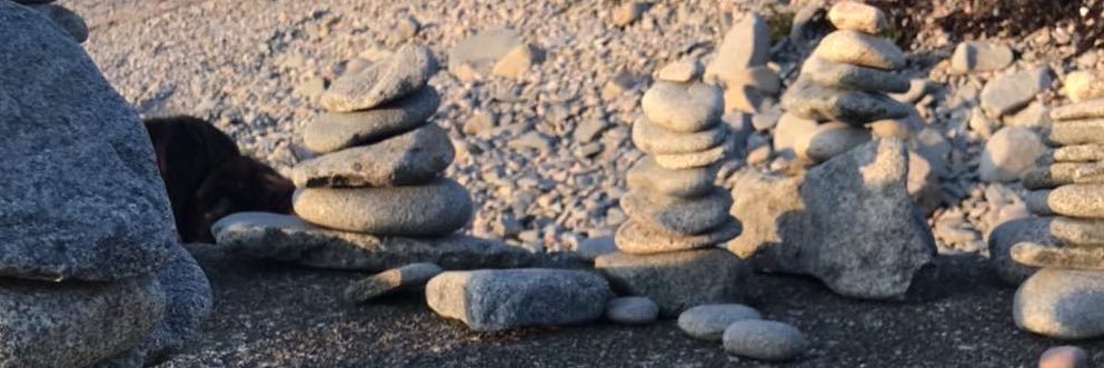 LMDCHS Enrichment banner