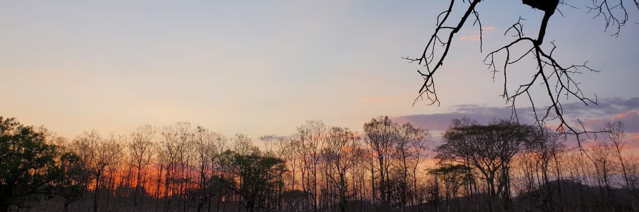 Ireyes_95's profile banner image