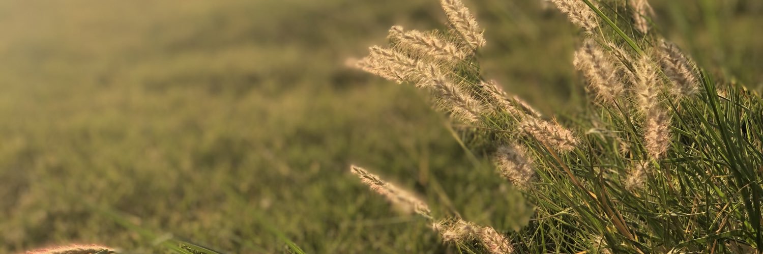 emtethal1's profile banner image