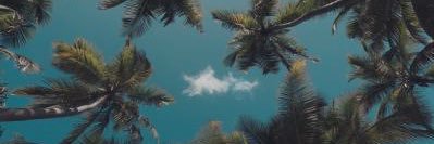 alabdull8's profile banner image