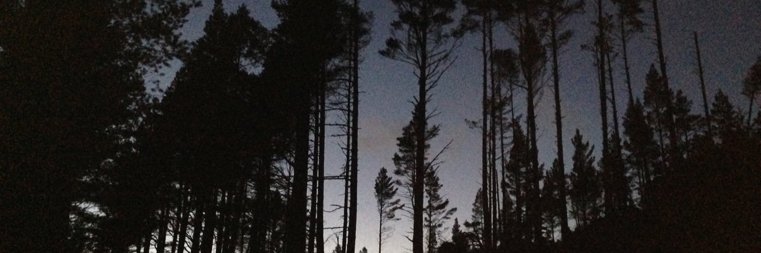 stuart_preston's profile banner image