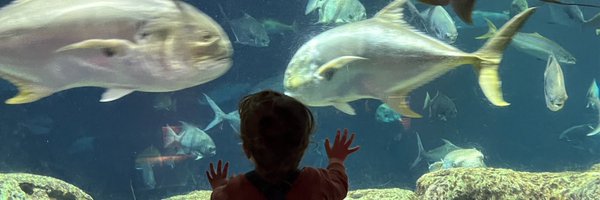 moriartyparty Profile Banner