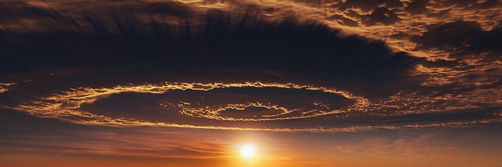 danys melog kong banner