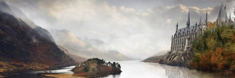 BluebirdAnn's profile banner image