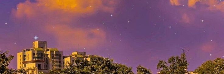 taeynamu's profile banner image