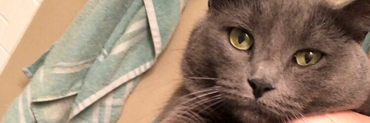 haleyfarwellll's profile banner image
