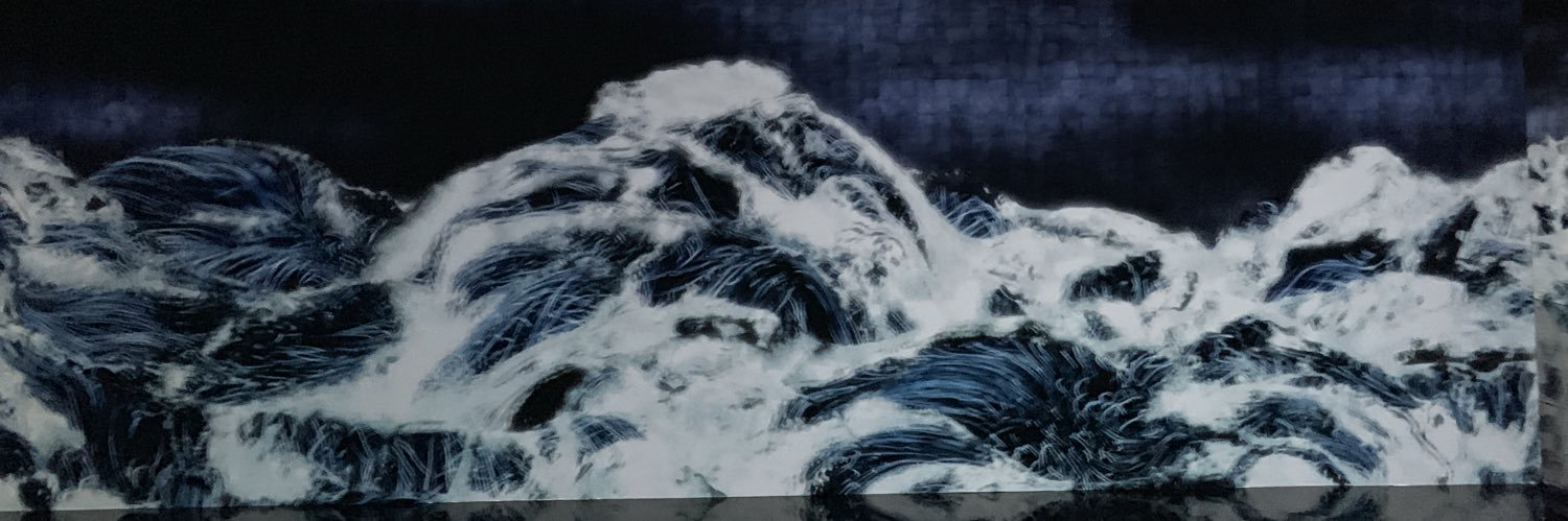 Virginia Galdeano banner