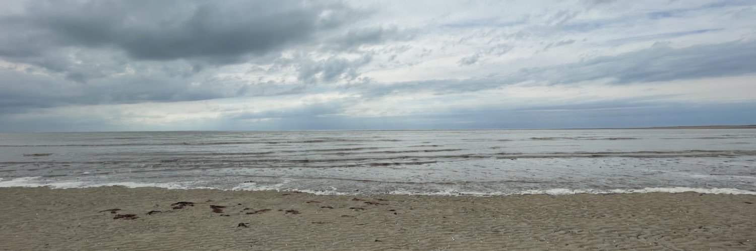 Anne-Laure Marteau banner